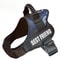ComfortFit Adjustable Nylon Dog Harness With Custom Name ID 4