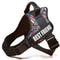 ComfortFit Adjustable Nylon Dog Harness With Custom Name ID 6