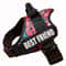 ComfortFit Adjustable Nylon Dog Harness With Custom Name ID 19