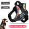 ComfortFit Adjustable Nylon Dog Harness With Custom Name ID 24