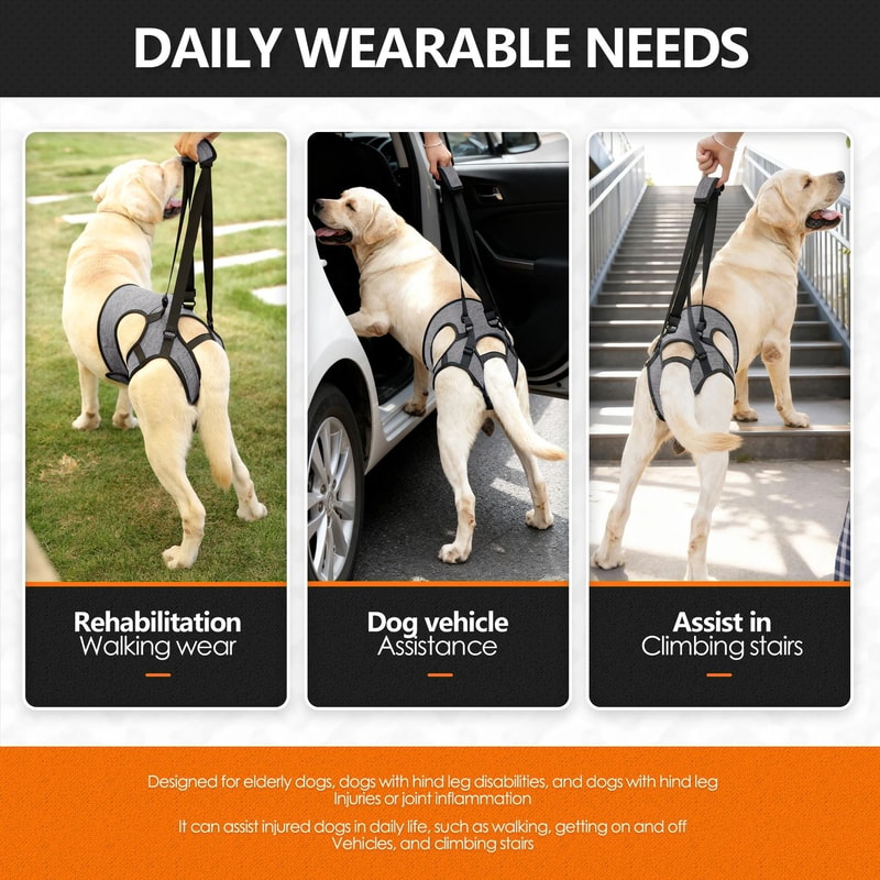 SupportStride Dog Lift Harness For Hind Leg Walking Assistance 4