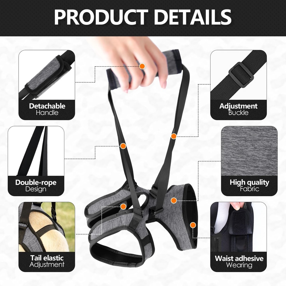 SupportStride Dog Lift Harness For Hind Leg Walking Assistance 6