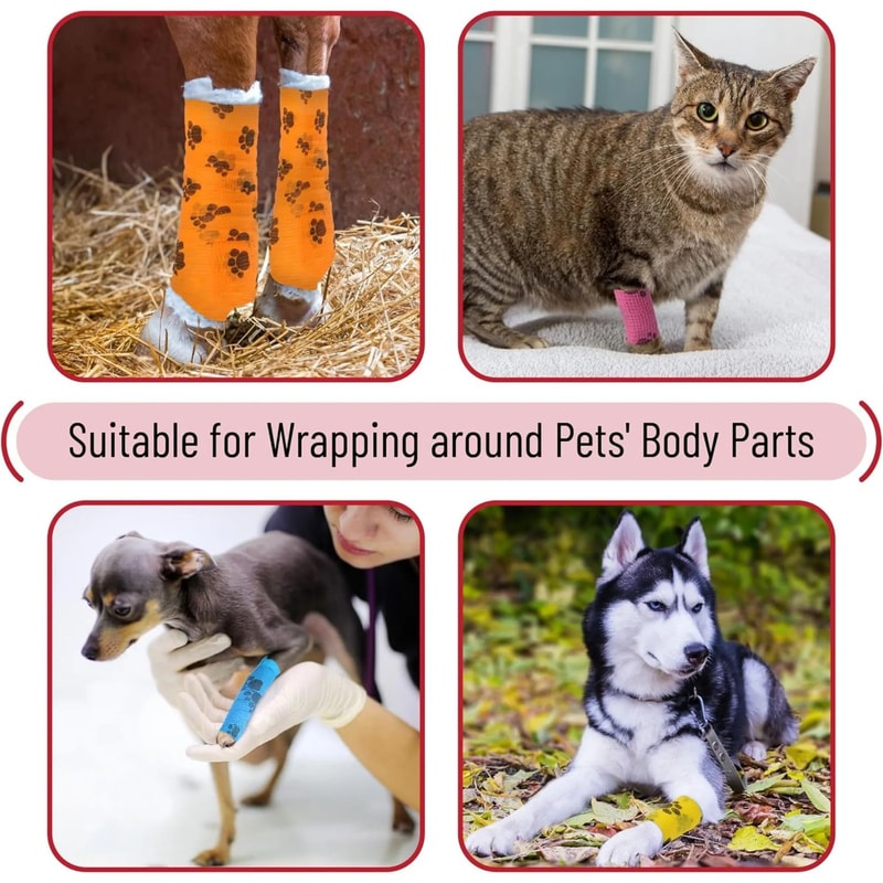 PawGuard Self Adhesive Dog Leg Wrap Bandages For Paw Protection 19