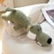WildPaws Squeaky Plush Dog Toy Set For Interactive Play 9