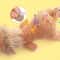 WildPaws Squeaky Plush Dog Toy Set For Interactive Play 7