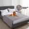 ShieldPaw Waterproof Pet Blanket And Furniture Protector Cover 1
