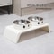 ComfortLift Elevated Pet Feeder With Stainless Steel Double Bowls 1