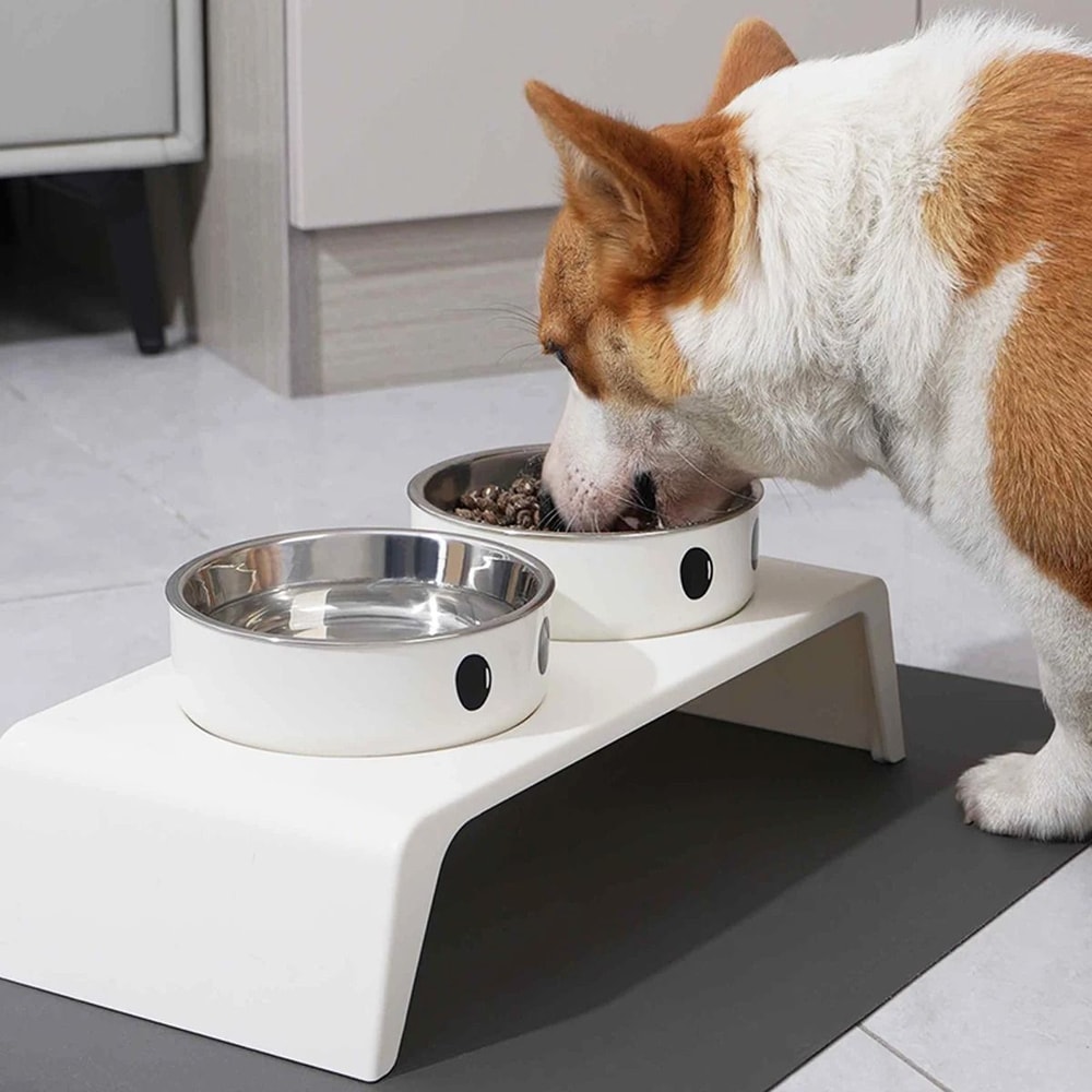 ComfortLift Elevated Pet Feeder With Stainless Steel Double Bowls 9