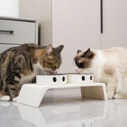 comfortlift elevated pet feeder with stainless steel double bowls
