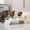 ComfortLift Elevated Pet Feeder With Stainless Steel Double Bowls 0