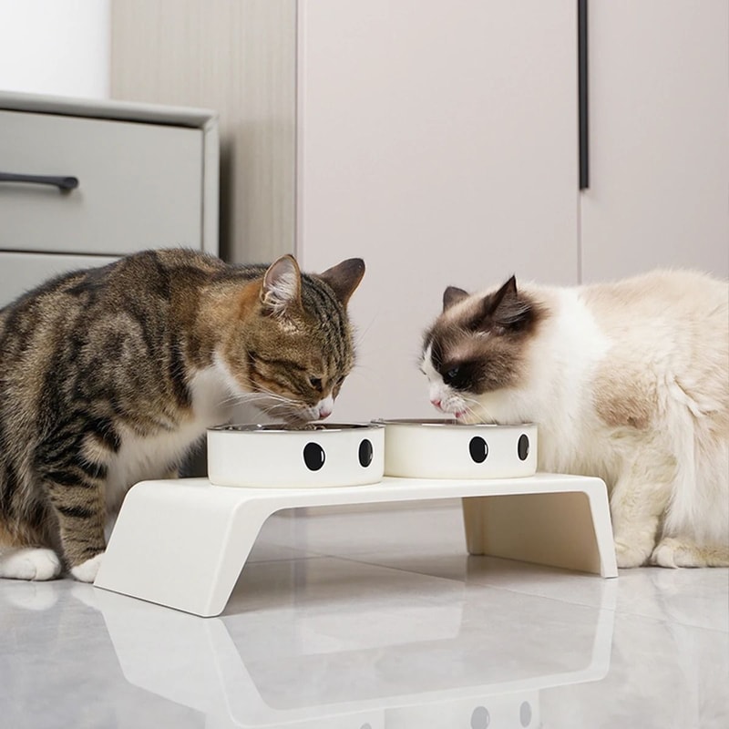 ComfortLift Elevated Pet Feeder With Stainless Steel Double Bowls 0