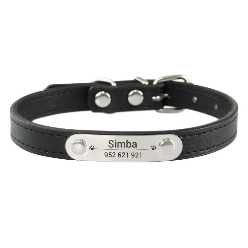 SafeTag Personalized PU Leather Dog Collar With Engraved Name ID 6