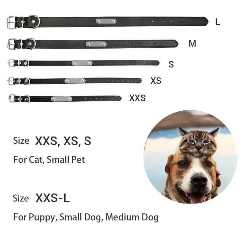 SafeTag Personalized PU Leather Dog Collar With Engraved Name ID 17