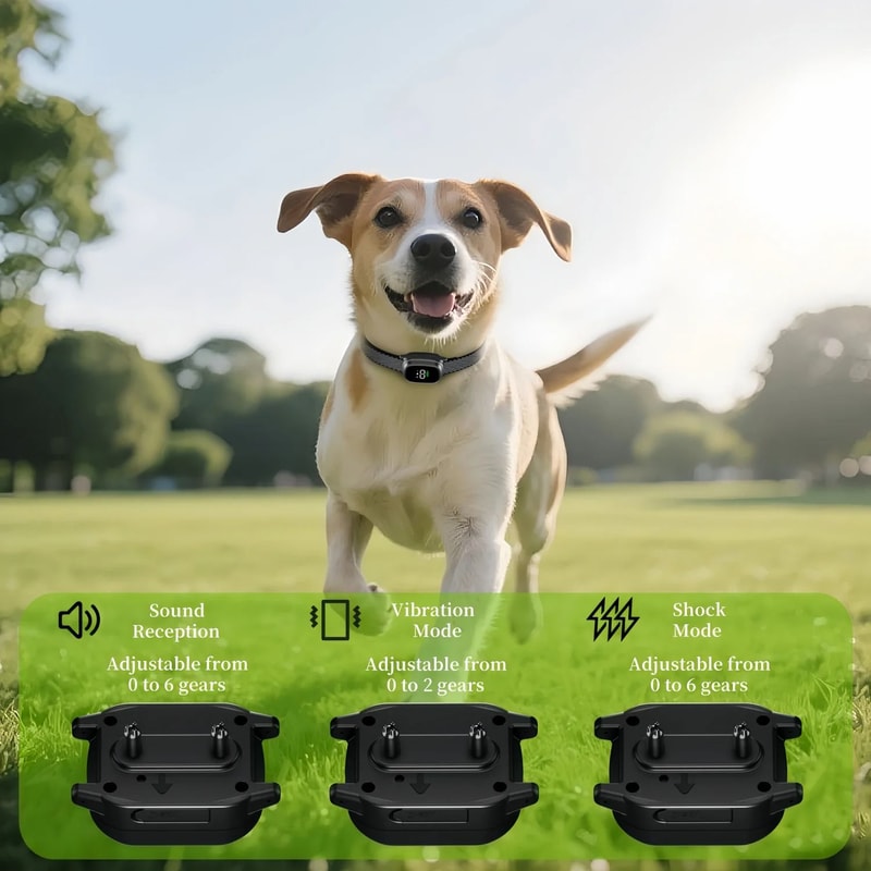 QuietGuard Rechargeable Automatic Anti Bark Dog Collar 7