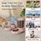 PetFlow Automatic Pet Feeder And Water Dispenser Station 10
