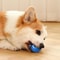 BounceBuddy Interactive Automatic Moving Dog Toy Ball 4