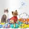 PetTalk Voice Recording Communication Buttons For Dog And Cat Training 3