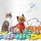 PetTalk Voice Recording Communication Buttons For Dog And Cat Training 3