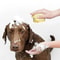 SoftPaws Silicone Pet Bath Massage Brush For Dogs And Cats 8