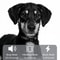 TrainPro Waterproof Remote Dog Training Collar For Large Range Control 8