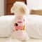 CozyPup Breathable Winter Vest Clothes For Small Dogs And Cats 4