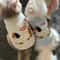 CozyPup Breathable Winter Vest Clothes For Small Dogs And Cats 8