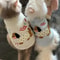 CozyPup Breathable Winter Vest Clothes For Small Dogs And Cats 8