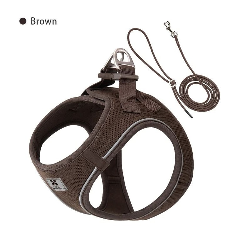 SafeWalk Reflective Dog Harness And Leash Set For Small And Medium Pets 1