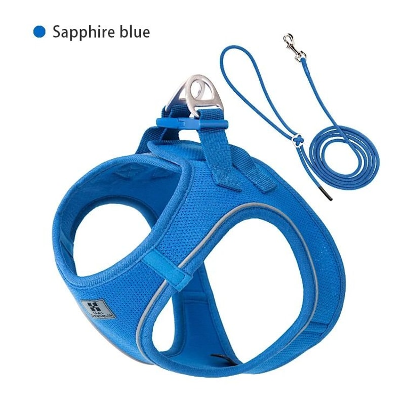 SafeWalk Reflective Dog Harness And Leash Set For Small And Medium Pets 2