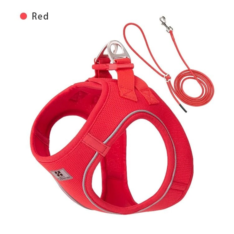 SafeWalk Reflective Dog Harness And Leash Set For Small And Medium Pets 5