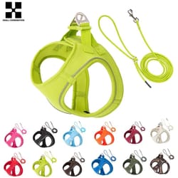 safewalk reflective dog harness and leash set for small and medium pets
