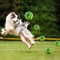 GiggleRoll Interactive Dog Toy Ball For Active Playtime 4