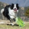 GiggleRoll Interactive Dog Toy Ball For Active Playtime 7