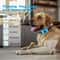 QuietPaw Rechargeable Ultrasonic Anti Bark Dog Training Collar 10