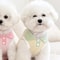 SunnyPaws Lightweight Summer Dog Shirt For Puppies And Small Dogs 3
