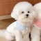 SunnyPaws Lightweight Summer Dog Shirt For Puppies And Small Dogs 1