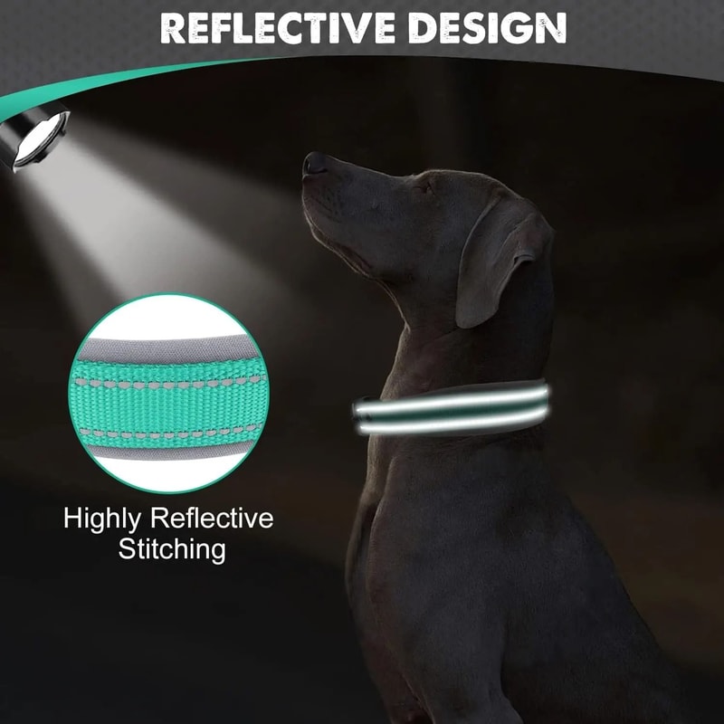 ComfortGuard Reflective Padded Dog Collar For Small Medium And Large Dogs 16
