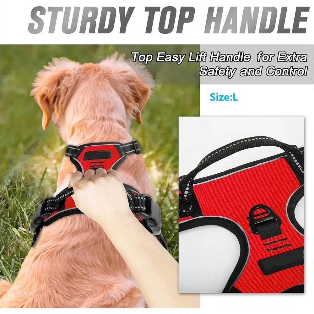 ComfortFit Leather Dog Harness And Leash Set For Small Medium And Large Dogs 10