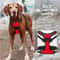 ComfortFit Leather Dog Harness And Leash Set For Small Medium And Large Dogs 12