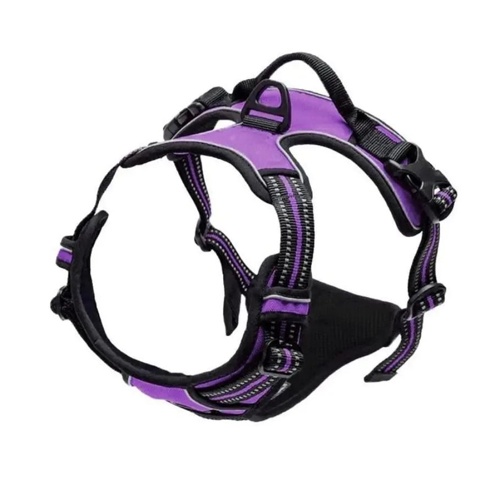 ComfortFit Leather Dog Harness And Leash Set For Small Medium And Large Dogs 7