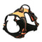 ComfortFit Leather Dog Harness And Leash Set For Small Medium And Large Dogs 5