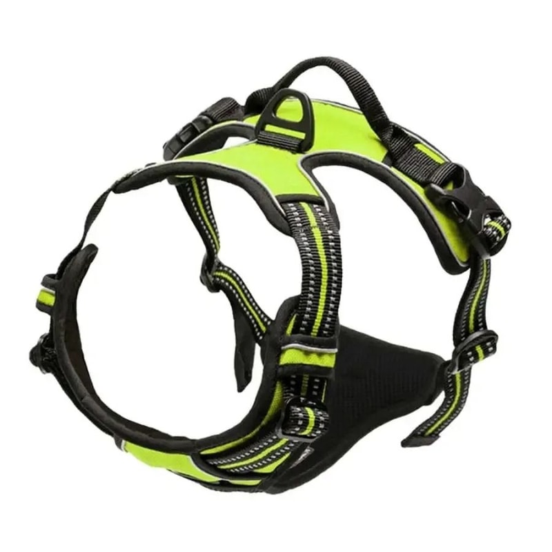 ComfortFit Leather Dog Harness And Leash Set For Small Medium And Large Dogs 2