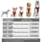 ComfortFit Leather Dog Harness And Leash Set For Small Medium And Large Dogs 9