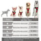 ComfortFit Leather Dog Harness And Leash Set For Small Medium And Large Dogs 9