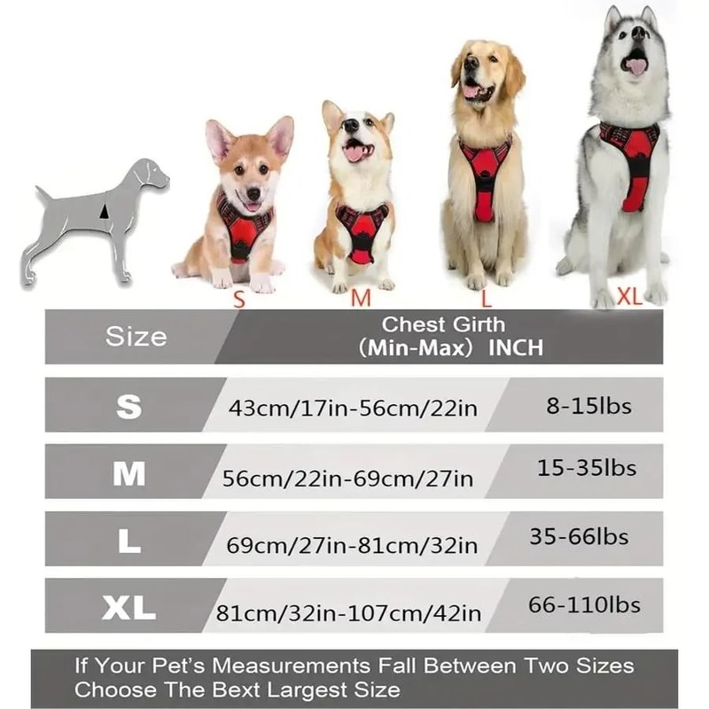 ComfortFit Leather Dog Harness And Leash Set For Small Medium And Large Dogs 9