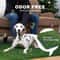 FreshPatch Reusable Dog Toilet Grass Training Mat 7