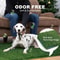 FreshPatch Reusable Dog Toilet Grass Training Mat 7