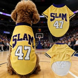 slam 47 breathable dog basketball jersey shirt