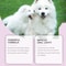 FreshMouth Pet Teeth Spray For Dogs And Cats 5