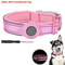 SafeTrack Reflective Airtag Dog Collar Waterproof Pet Tracking Collar 1